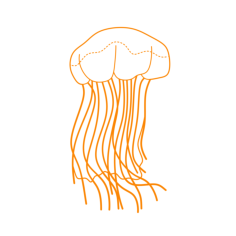 Animals Jellyfish Lions Mane Jellyfish Laser Cut Svg File, Free Vectors File